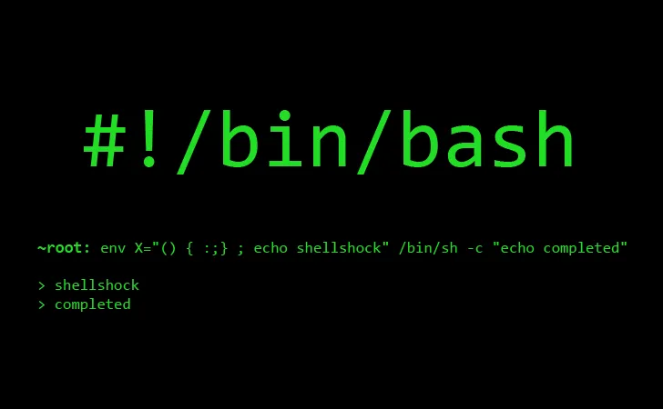 Bash general image